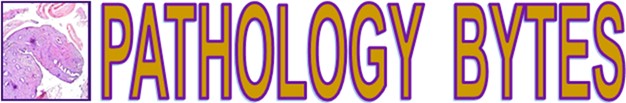 Pathology Newsletter Logo Link